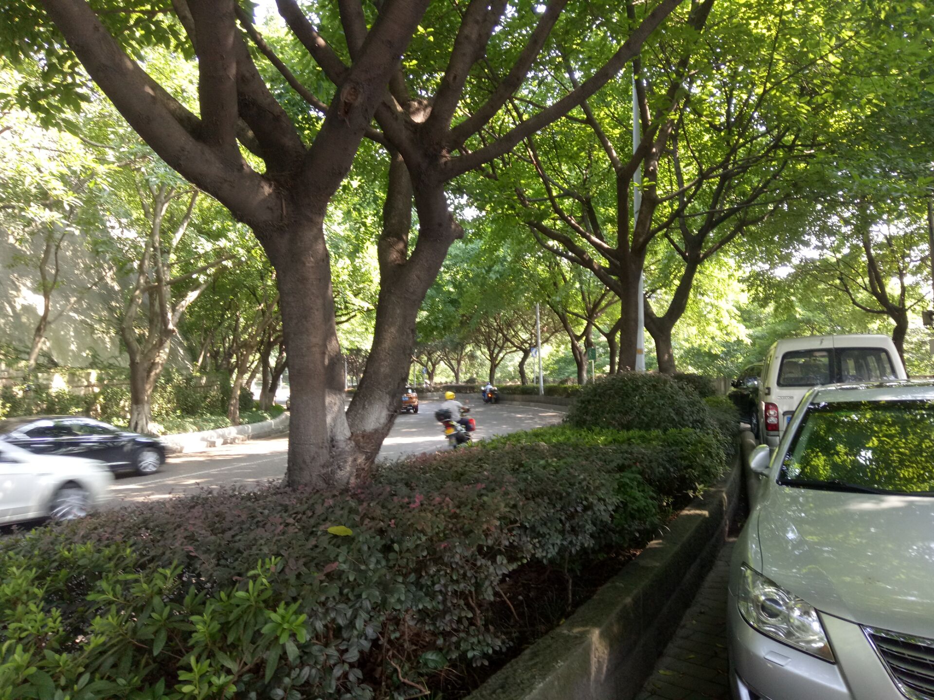 重慶市渝中區(qū)愛民老年服務中心