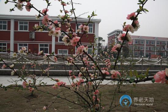 上海市金山區(qū)眾仁老年護理院
