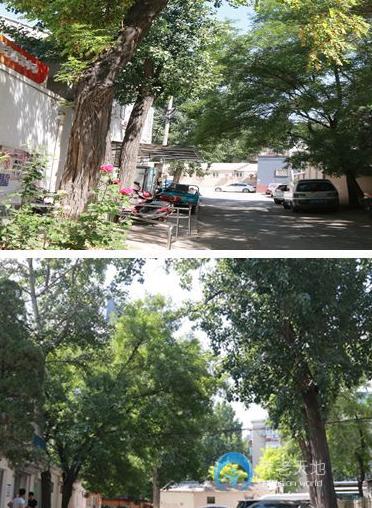 北京市朝陽(yáng)區(qū)團(tuán)結(jié)湖社區(qū)暮年頤樂園