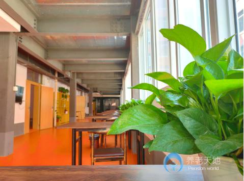 洛陽(yáng)和家養(yǎng)老洛園